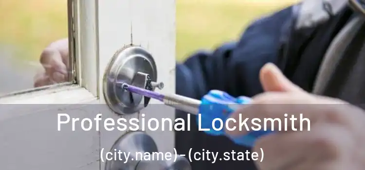 Professional Locksmith (city.name) - (city.state)